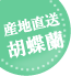 お盆(新盆・初盆)|花キューピットおすすめの季節のフラワー