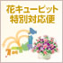花ｷｭｰﾋﾟｯﾄ特別対応便