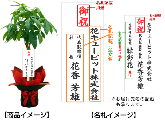 観葉植物　名札について