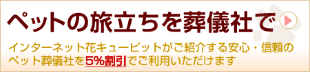 ペットの旅立ちを葬儀社でインターネット花キューピットがご紹介する安心・信頼のペット葬儀社を5%割引でご利用いただけます。