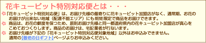 特別対応便注意下記