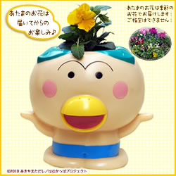 育てよう!新はなかっぱ(季節の花苗)