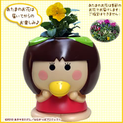 育てよう!新ももかっぱ(季節の花苗)