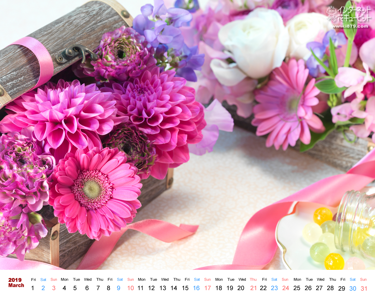 最高かつ最も包括的なパソコン 壁紙 花 アニメ画像