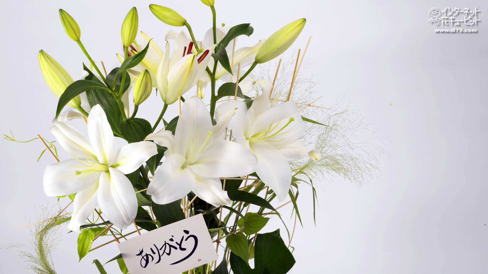 インターネット花キューピット Dyqan Lulesh Shinagawa Ku Tokyo Japan 1 360 Foto Facebook インターネット花キューピット Dyqan Lulesh Shinagawa Ku Tokyo Japan 1 360 Foto Facebook