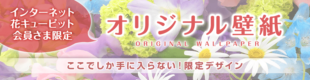 壁紙ダウンロード