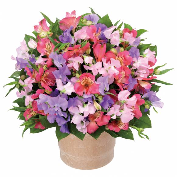 お取り寄せ オリジナルフラワー アレンジメント｜花キューピット