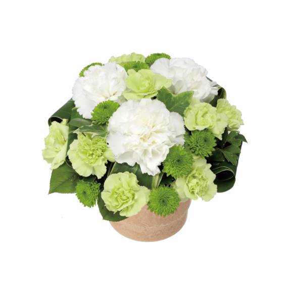 かすみそうの花束