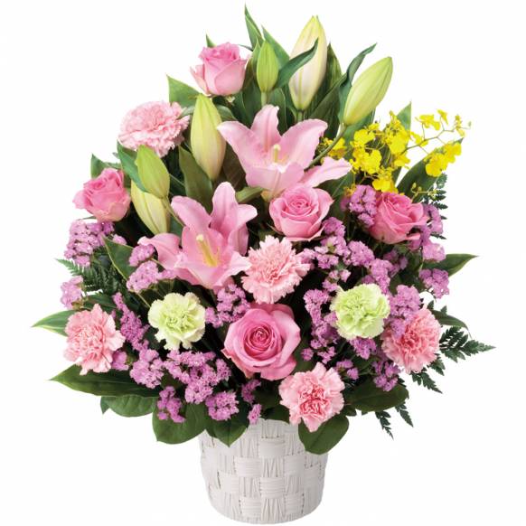 5127150【一般カテゴリー】アレンジメント