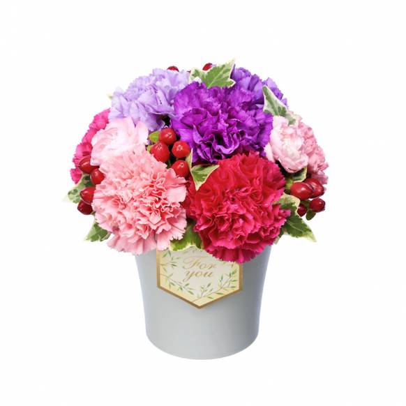 グラマラス ムーンダスト インターネット花キューピット フラワーギフト 手渡し