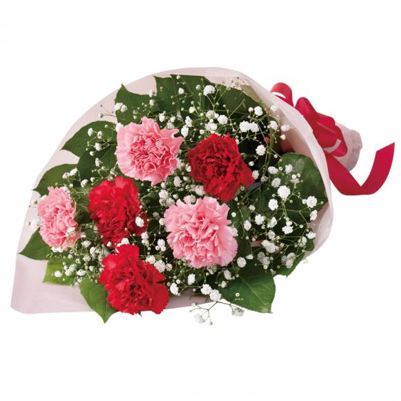 一般カテゴリー,カーネーションの花束（レッド）,花良