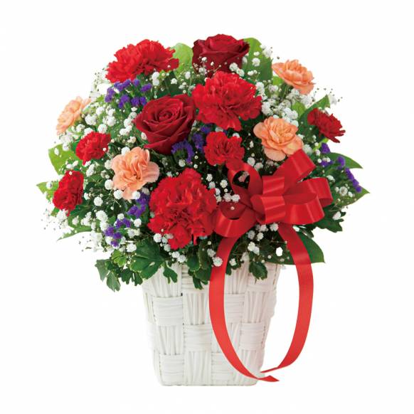 5213600【一般カテゴリー】赤バラとカーネーションの母の日アレンジメント