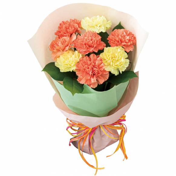 5213640【一般カテゴリー】カーネーションの花束（イエロー）