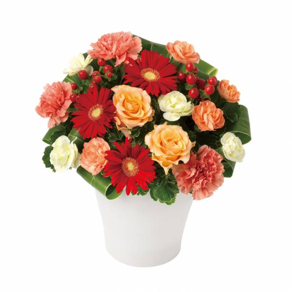 お取り寄せ オリジナルフラワー アレンジメント｜花キューピット