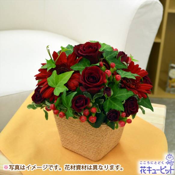 koroです♪【置き型アレジメント】ピンクの薔薇❤️ koroです♪【置き型アレジメント】ピンクの薔薇❤️ 花