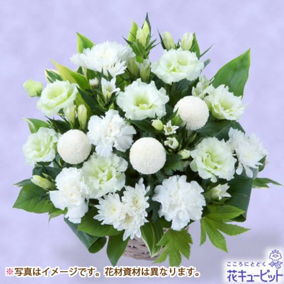 フローリストチョイス】お供えワンサイド・アレンジ(清楚な白 M フローリストチョイス】お供えワンサイド・アレンジ(清楚な白 M