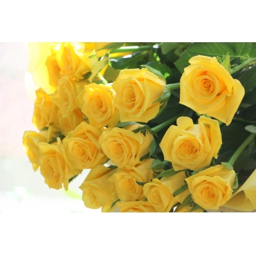 一般カテゴリー,黄色いバラの花束,フラワーショップ花太郎