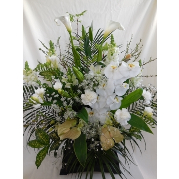 一般カテゴリー,胡蝶蘭お供えアレンジメント（供花台付）,花の店百花園
