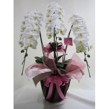 お取り寄せ オリジナルフラワー ピンクガーベラのアレンジメント｜花