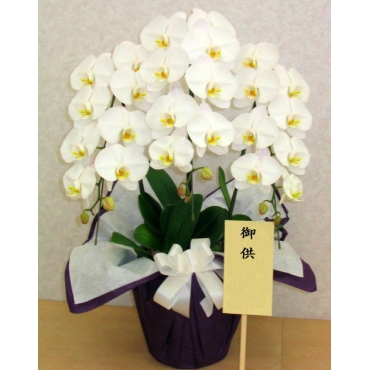 バルーンスタンド花