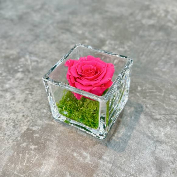 プリザーブドフラワー「GLASS CUBE ピンク」一般カテゴリー
