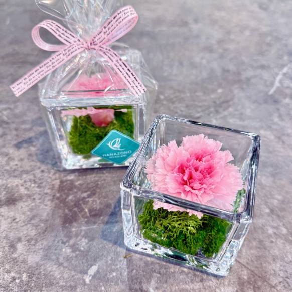 ”母の日限定商品”プリザーブドフラワー「GLASS CUBE カーネーション」一般カテゴリー
