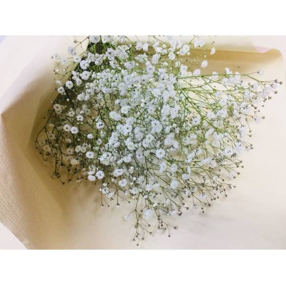 かすみそうの花束 インターネット花キューピット フラワーギフト 手渡し かすみそうの花束 インターネット花キューピット フラワーギフト 手渡し