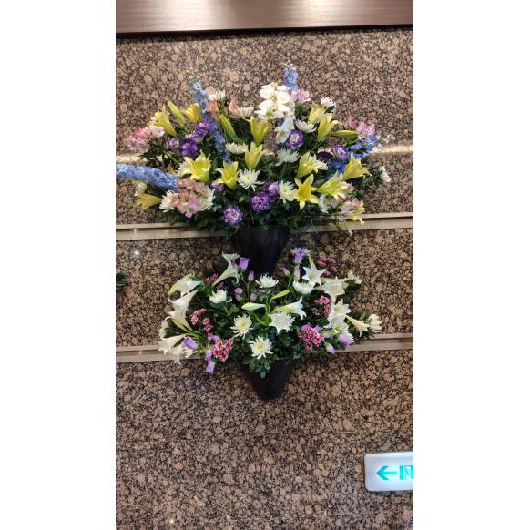 観葉植物（シュロチク）