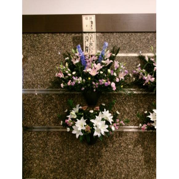 観葉植物（シュロチク）