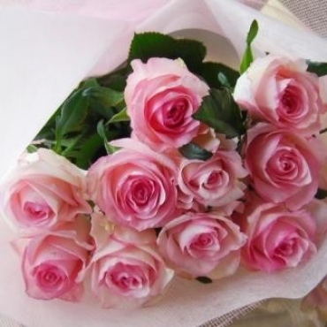 一般カテゴリー,バラの花束（ピンク）,おがた生花店