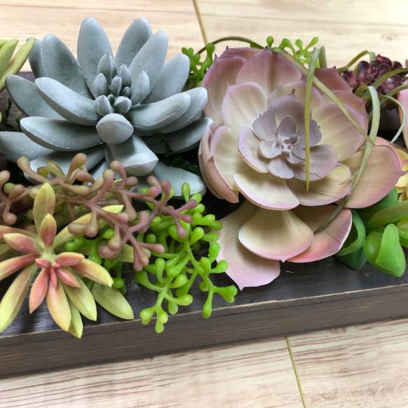 観葉植物 壁かけ 多肉植物 造花 フレーム 壁 インテリア(ウォール