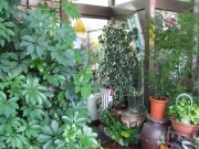 花の店カタカイ