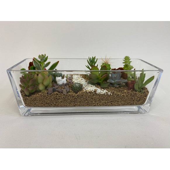多肉植物寄せ植え ガラスコンポート インターネット花キューピット フラワーギフト 手渡し 多肉植物寄せ植え ガラスコンポート インターネット花キューピット フラワーギフト 手渡し
