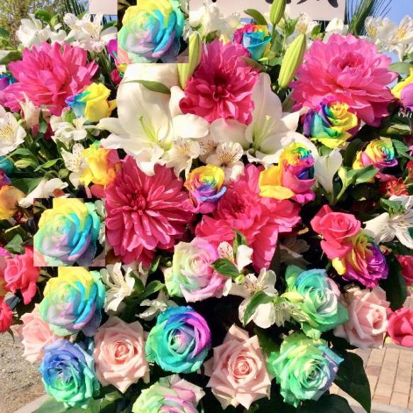 花瓶・フラワースタンド Rose Cabat 花瓶・フラワースタンド Rose Cabat 花瓶・フラワースタンド