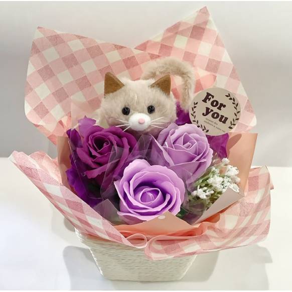 デイジー リップンディップ フラワー Flower キャット CAT 個性的 🔥Amazing Plants! 🌈Cat's eye dazzle×Cute Pig🐷
