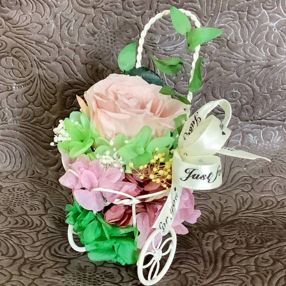 胡蝶蘭（開花３０輪以上）