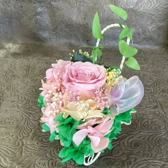 胡蝶蘭（開花３０輪以上）