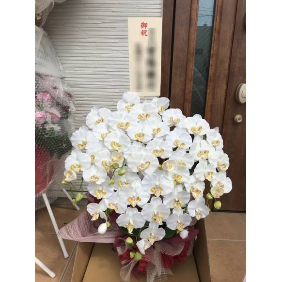 お取り寄せ オリジナルフラワー 胡蝶蘭造花 空気清浄光触媒｜花