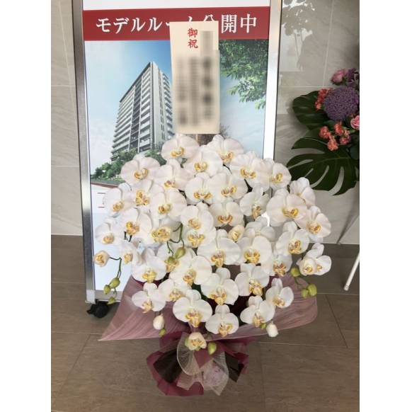 お取り寄せ オリジナルフラワー 胡蝶蘭造花 空気清浄光触媒｜花