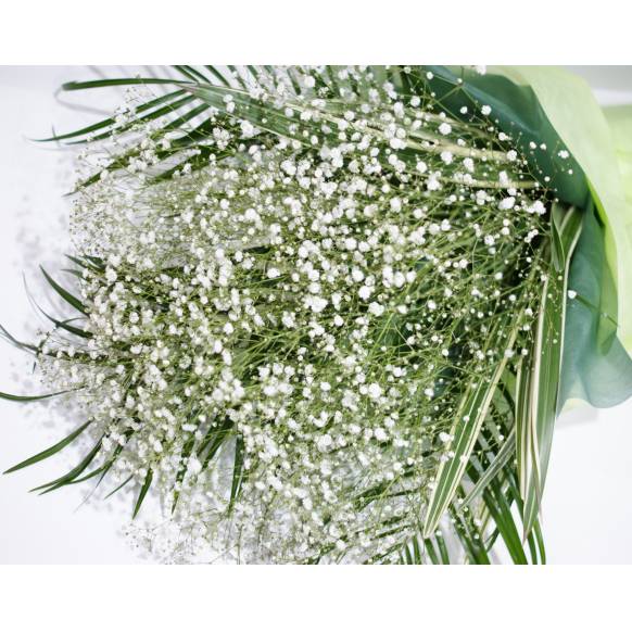 一般カテゴリー,かすみ草の花束,フローリスト　カトレア