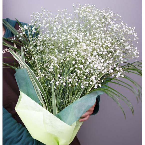 一般カテゴリー,かすみ草の花束,フローリスト　カトレア