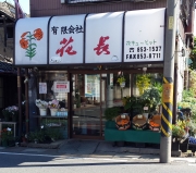 与野花長生花