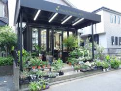 シェラフローリストエイム