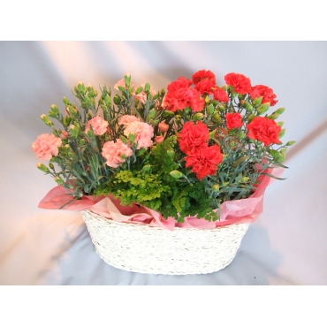 直接引き取り】人工花アレンジメント 大きめプランター 2410FB1