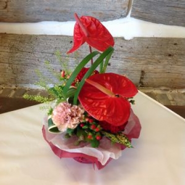 生花 赤アンスリウムのアレンジメント インターネット花キューピット お取り寄せフラワーギフト 生花 赤アンスリウムのアレンジメント インターネット花キューピット お取り寄せフラワーギフト