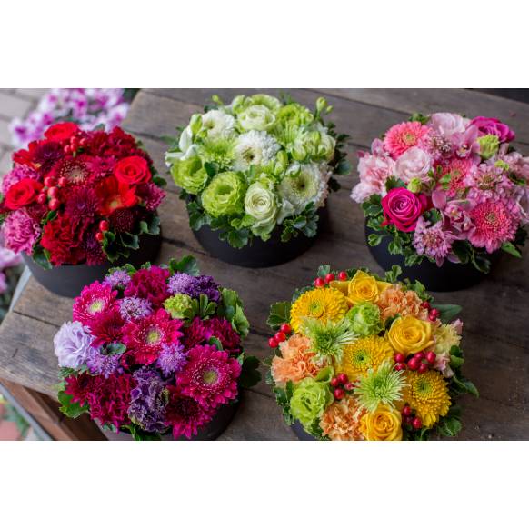 一般カテゴリー,サプライズBOXフラワー~ラウンド型~,フローリストせきど