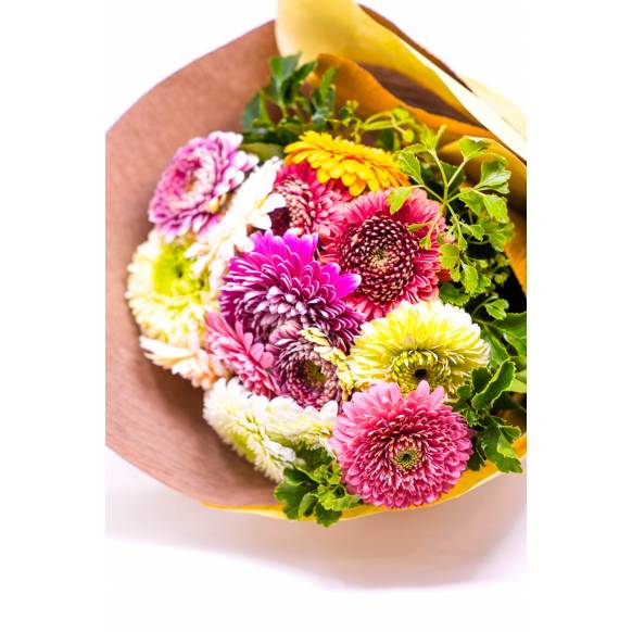 お取り寄せ オリジナルフラワー ガーベラ色とりどりおまかせ15本MIXの