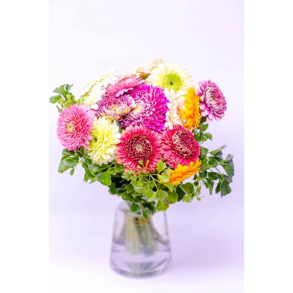 お取り寄せ オリジナルフラワー ガーベラ色とりどりおまかせ15本MIXの