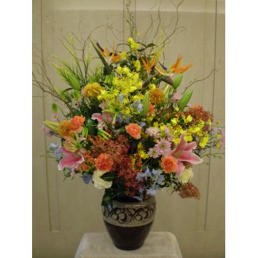 一般カテゴリー,つぼ花,はこねフローリスト