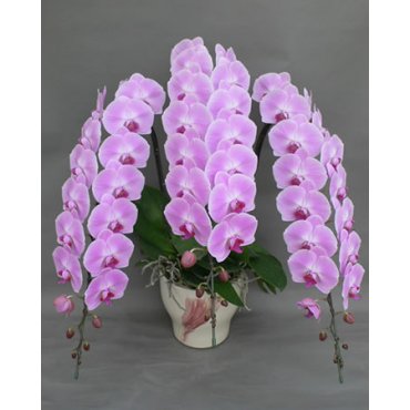 9000021【一般カテゴリー】900002